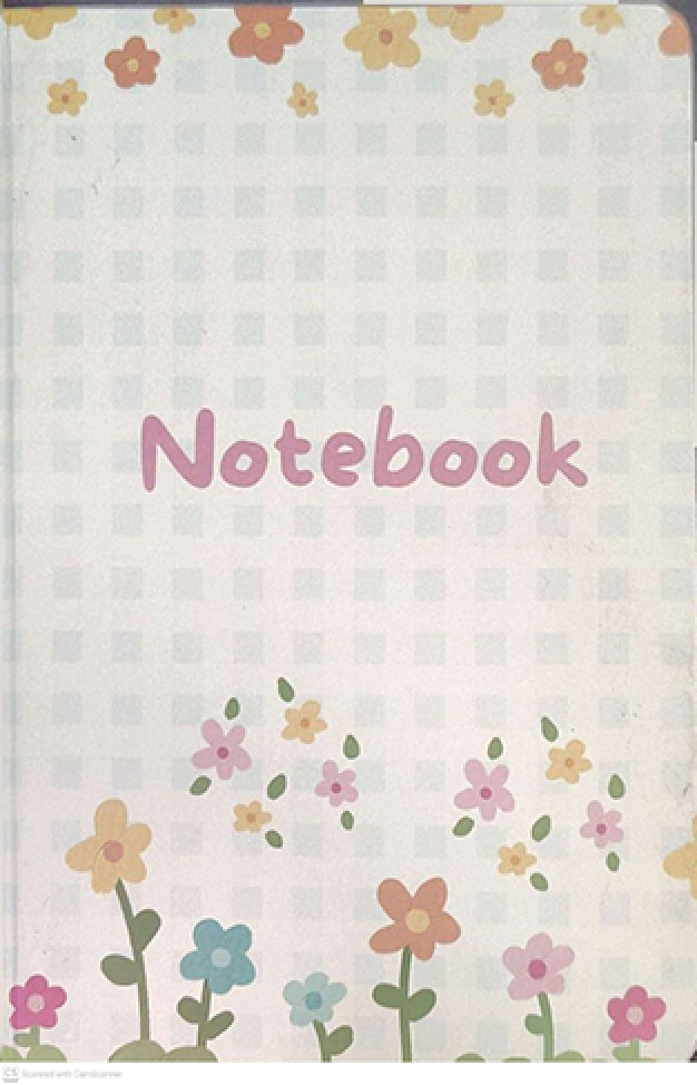 Fancy Notebook Diary  P 000118